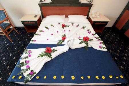 Club Cactus Paradise - 21