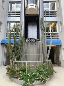 Botanik Platinum - 61