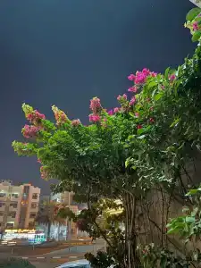 Mercure Gold, Jumeirah, Dubai - 7