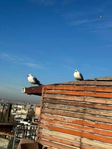 Art City Istanbul - 32