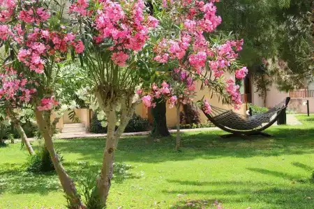 VONRESORT Golden Beach & Aqua - Kids Concept-Ultra All Inclusive - 26