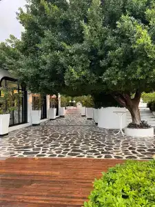 Yacht Classic - Boutique Class - 70