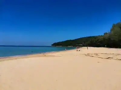 Naithon Beach Mansion - 1