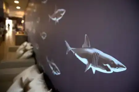 Port Royal Villas and Spa - Adults Only - 46