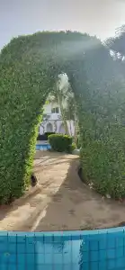 Iberotel Palace - Adults Friendly 16 Years Plus - 69