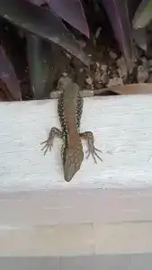 Side Resort Annex - 42