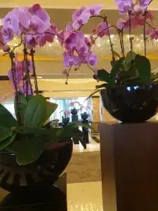 InterContinental Abu Dhabi, an IHG - 91