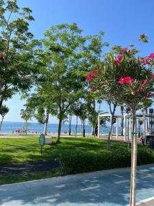 Acropol Beach - 13