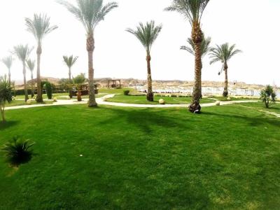 Xperience Golden Sandy Beach - 9