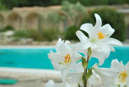 Masseria Relais Santa Teresa - 6