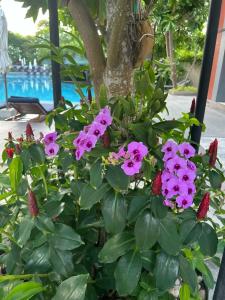 Avista Grande Phuket Karon - MGallery - 78