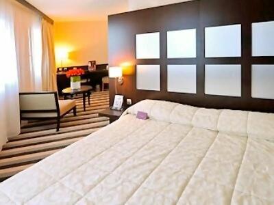 ibis Rouen Centre Champ de Mars - 63