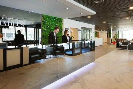 iHs Bologna Amadeus - 6