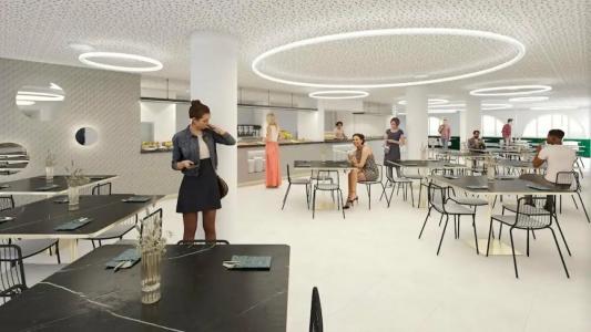 Vibra Palma Cactus - 18