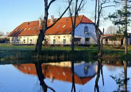 Üksik Rüütel