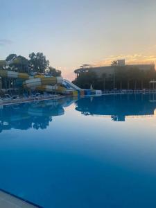 Euphoria Palm Beach Resort - 14