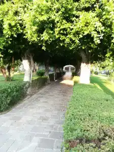 TUI BLUE Palm Garden - 22