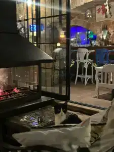 Tuvana - 15