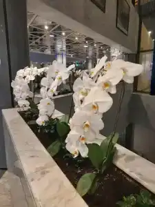 Premier Inn Abu Dhabi Airport (Business Park) - 8