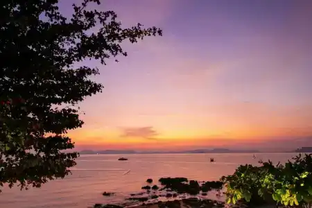 The Pelican Krabi - 53