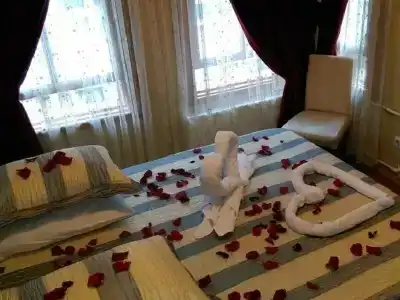 Le Safran Suite - 11