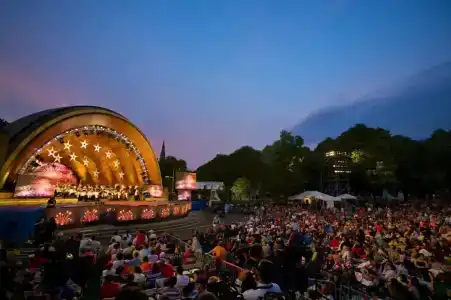Residence Inn by Marriott Boston Downtown Seaport - 17