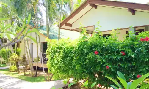 Lamai Inn 99 Bungalows - 12