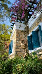 Symbola Oludeniz Beach - 67