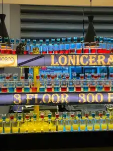 Lonicera Premium - Ultra All Inclusive - 79