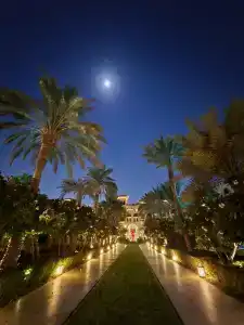 Four Seasons Resort Dubai at Jumeirah Beach - 6