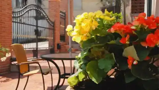 Villa Scotillo Guest House - 9