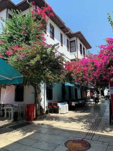 Sabah Pension - 15