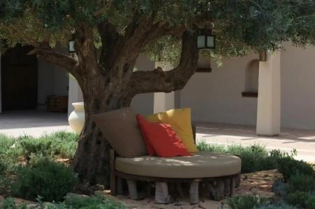 Ma'in Hot Springs - 39