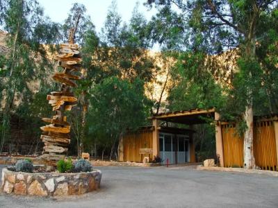 Ma'in Hot Springs - 16