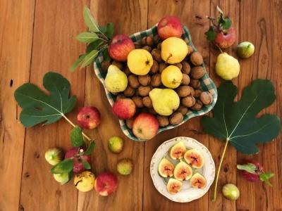 The Houses of History - anno 1830 - 22