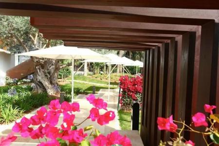 Pure Salt Garonda - Adults Only - 25