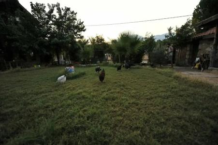 Olympos Koyevi Pension - 38