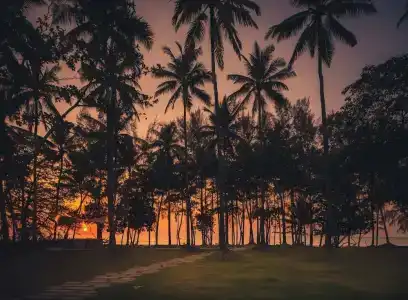 Avani Plus Khao Lak Resort - 67