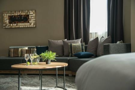 Expo Sofia - Free Arrival shuttle bus - Free Parking - Free Compliments - Free Wi-Fi - 76