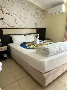 First Class - All Inclusive - 33