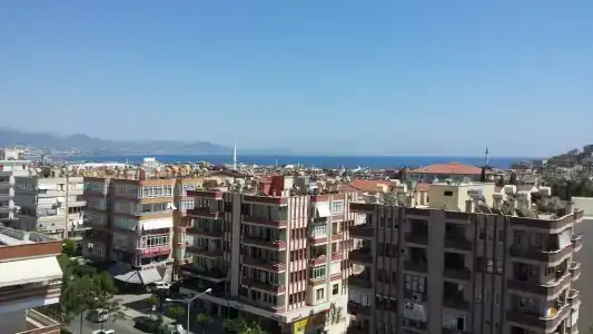 May Flower Apart - 37