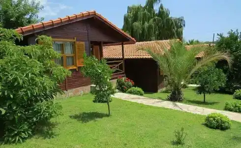 Ayris Çıralı - 31
