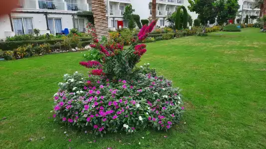 Amarina Abu Soma Resort & Aquapark - 10