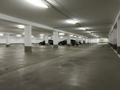 THE FLAG München M. - 52