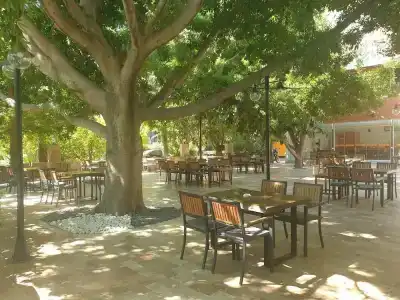 Ayris Çıralı - 32
