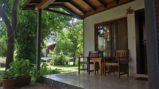 Caretta Caretta Pension - 64