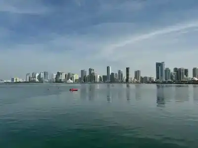 Golden Tulip Apartments - 44