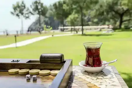 ROBINSON CAMYUVA - Adults only - 16