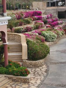 Reef Oasis Blue Bay Resort & Spa - 19