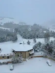 Polat Palandöken - 43